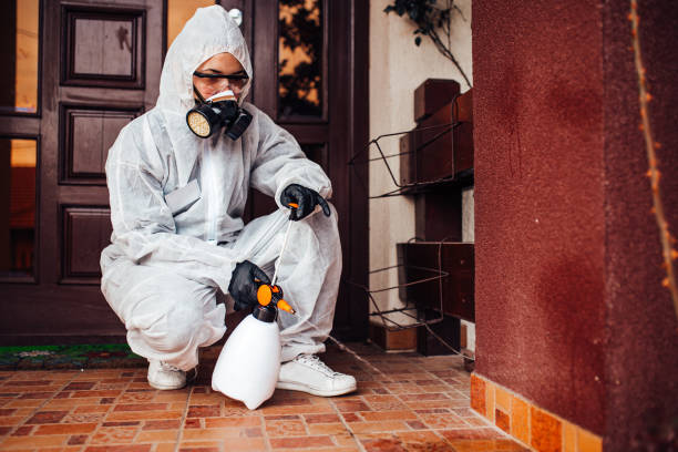 Attic and Crawl Space Rodent Treatment in St. Paul Park